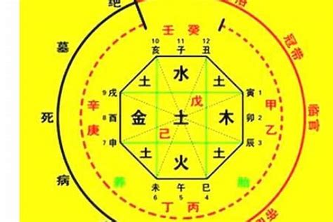 八字五行比例|免費生辰八字五行屬性查詢、算命、分析命盤喜用神、喜忌